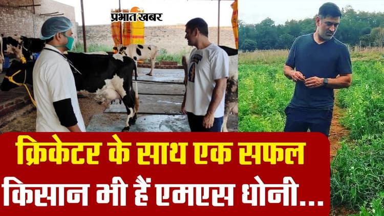 VIDEO: क्रिकेटर के साथ एक सफल किसान भी हैं एमएस धोनी.