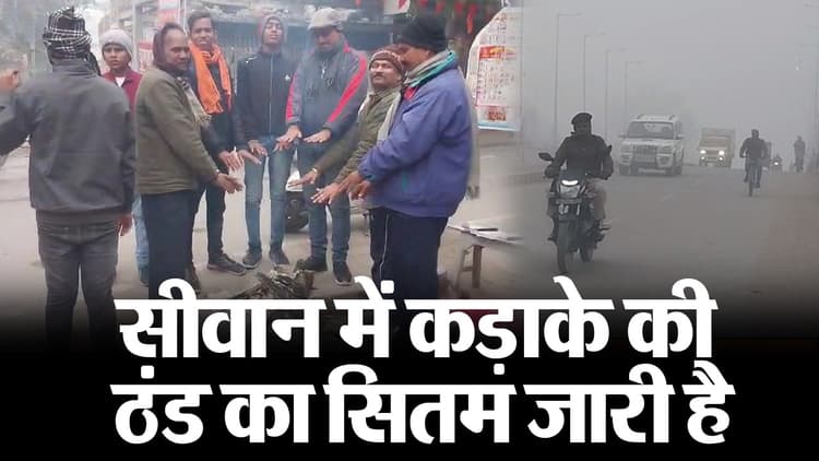 Video: सीवान में कड़ाके की ठंड का सितम जारी, पछुआ हवा व ठंड ने बढ़ायी लोगों की परेशानी