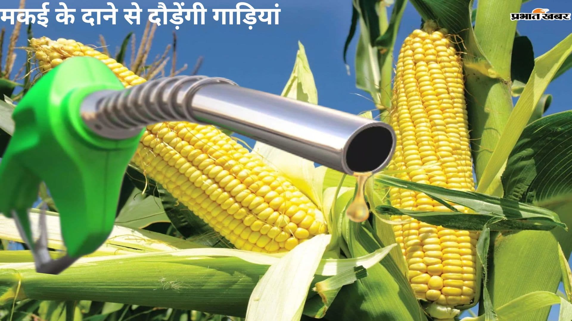 Flex Fuel: मकई के दाने से अब देश में दौड़ेंगी गाड़ियां, जानें क्या है मोदी सरकार का मास्टर प्लान