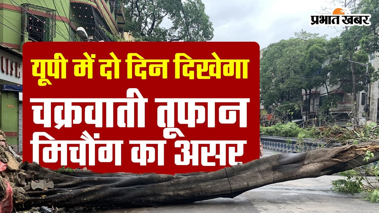 weather forecast : न्यूनतम तापमान में तेजी से गिरावट , 24 घंटे में हो सकती है बारिश