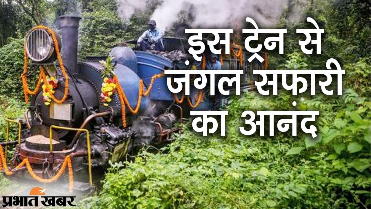 VIDEO: इस खास ट्रेन से हसीन वादियों की सैर, सिलीगुड़ी से रंगटन के बीच ‘जंगल टी सफारी’ की ‘छुक छुक’