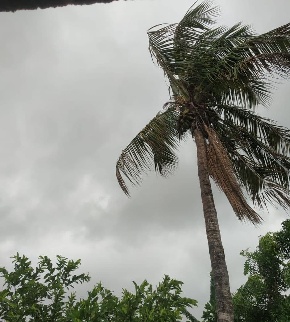 बिहार में Cyclone Yaas का असर शुरू, इन जिलों में तेज हवा के साथ हुई बारिश, मौसम विभाग का येलो और ऑरेंज अलर्ट जारी
