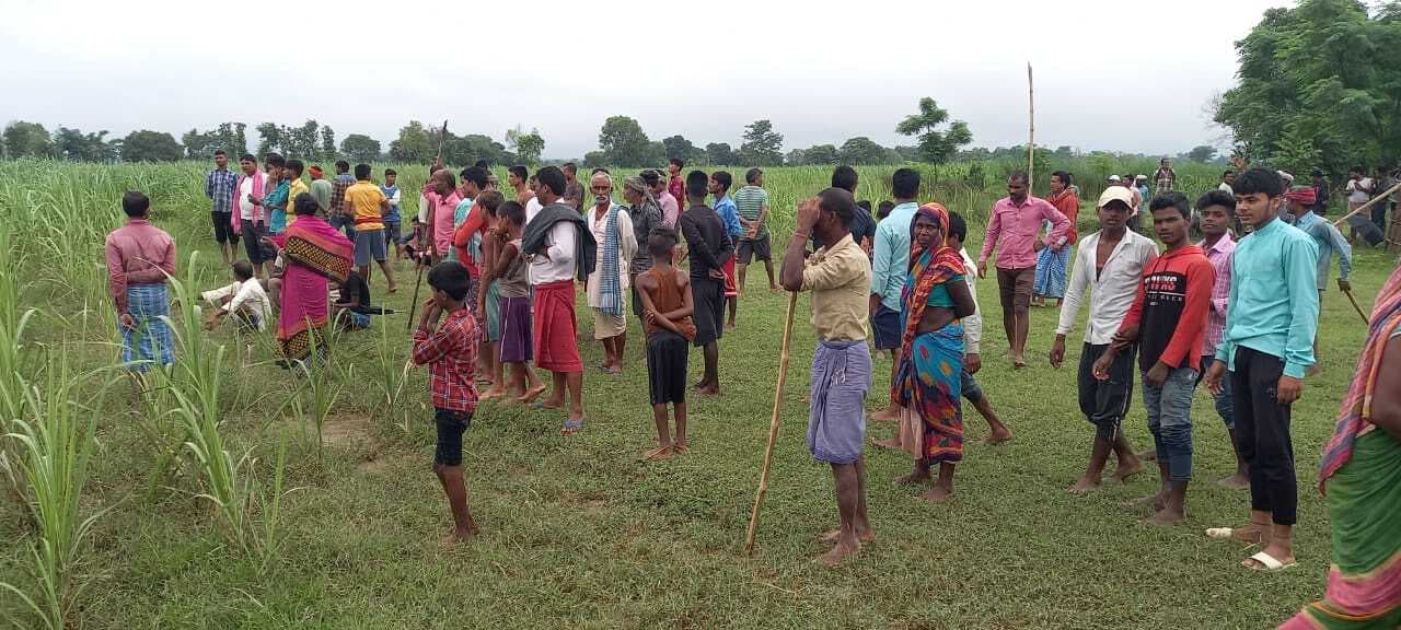 बाल्मीकि टाइगर रिजर्व से गांव की ओर निकला बाघ, हमले से 28 वर्षीय युवक की मौत, लोगों में दहशत