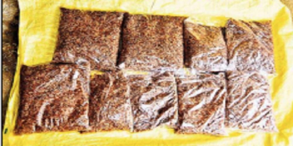 कम पानी में अच्छी पैदावार और पौष्टिक है बालीभोजना धान, जानें क्या है इसकी खासियत