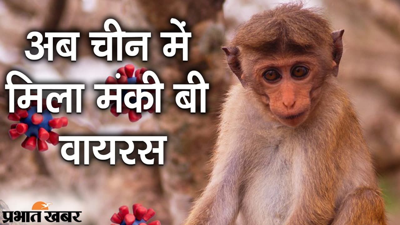 China New Virus: कोरोना संकट से परेशान दुनिया की नई टेंशन ,चीन में मंकी बी वायरस से पहली मौत की पुष्टि