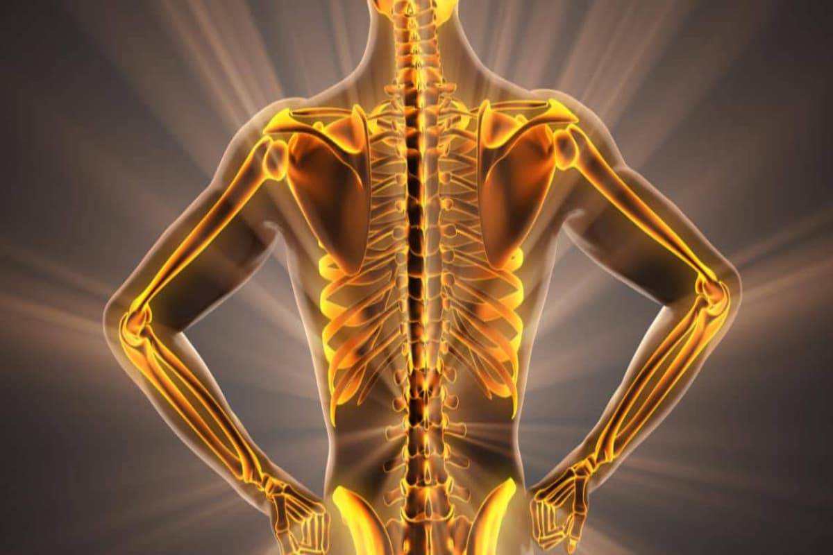 Healthy Bones : बुढ़ापे तक नहीं कमजोर होंगी हड्डियां, डाइट में शामिल कर लें यह चीज
