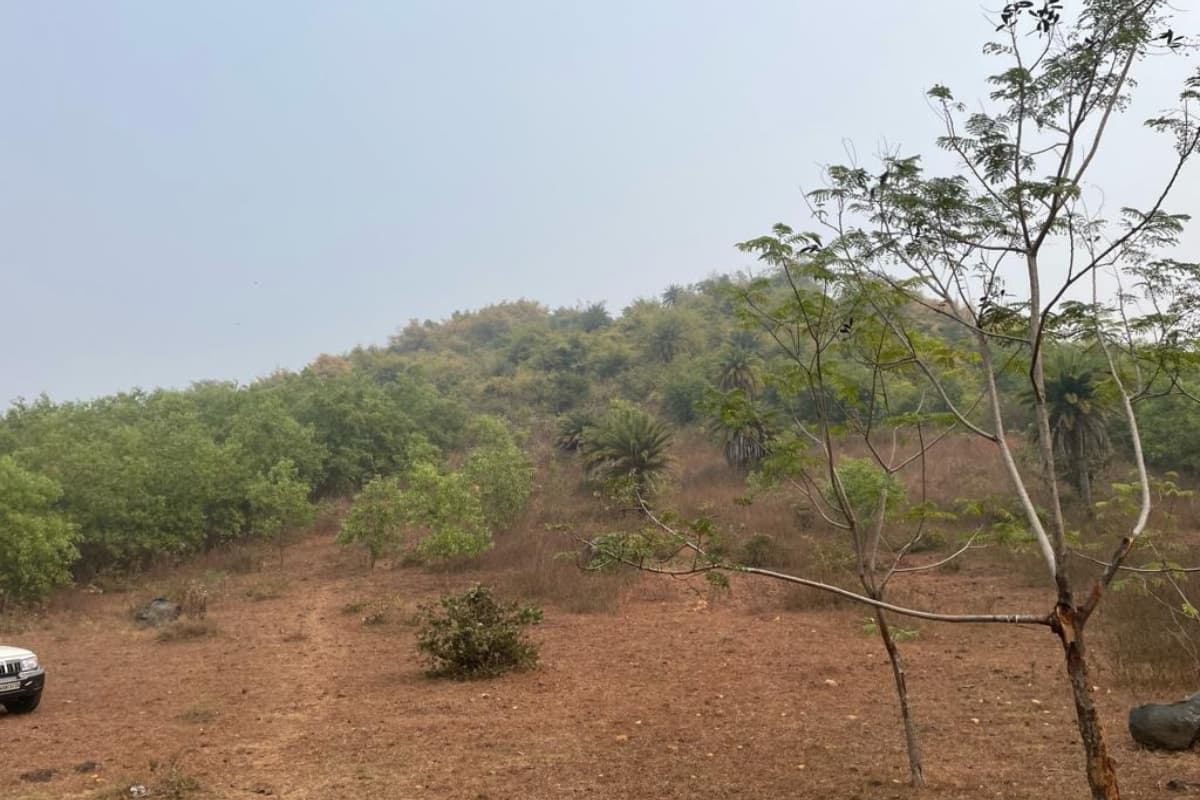 जामताड़ा : प्राकृतिक सौंदर्य से भरा मांलंचा पहाड़ की तलहटी में मनायें पिकनिक