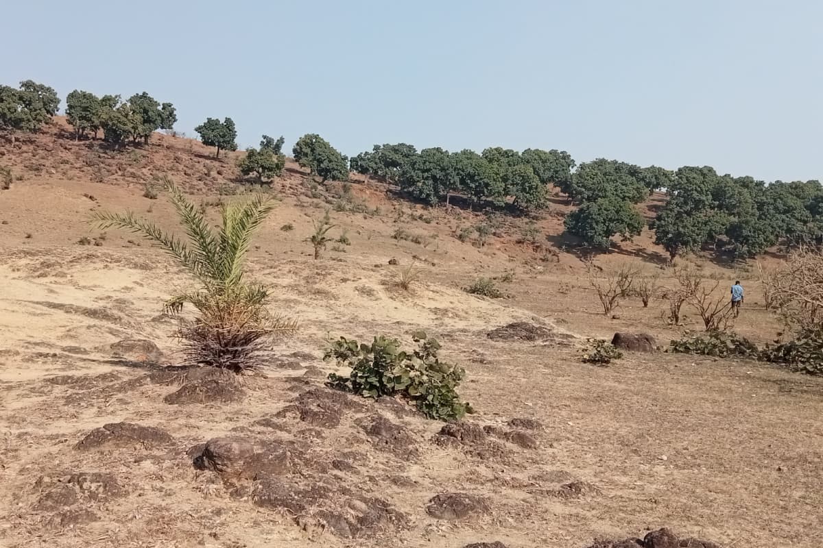 गोड्डा : 30 दिसंबर से जुटेंगे सैलानी, नये साल का उत्साह के साथ करेंगे स्वागत