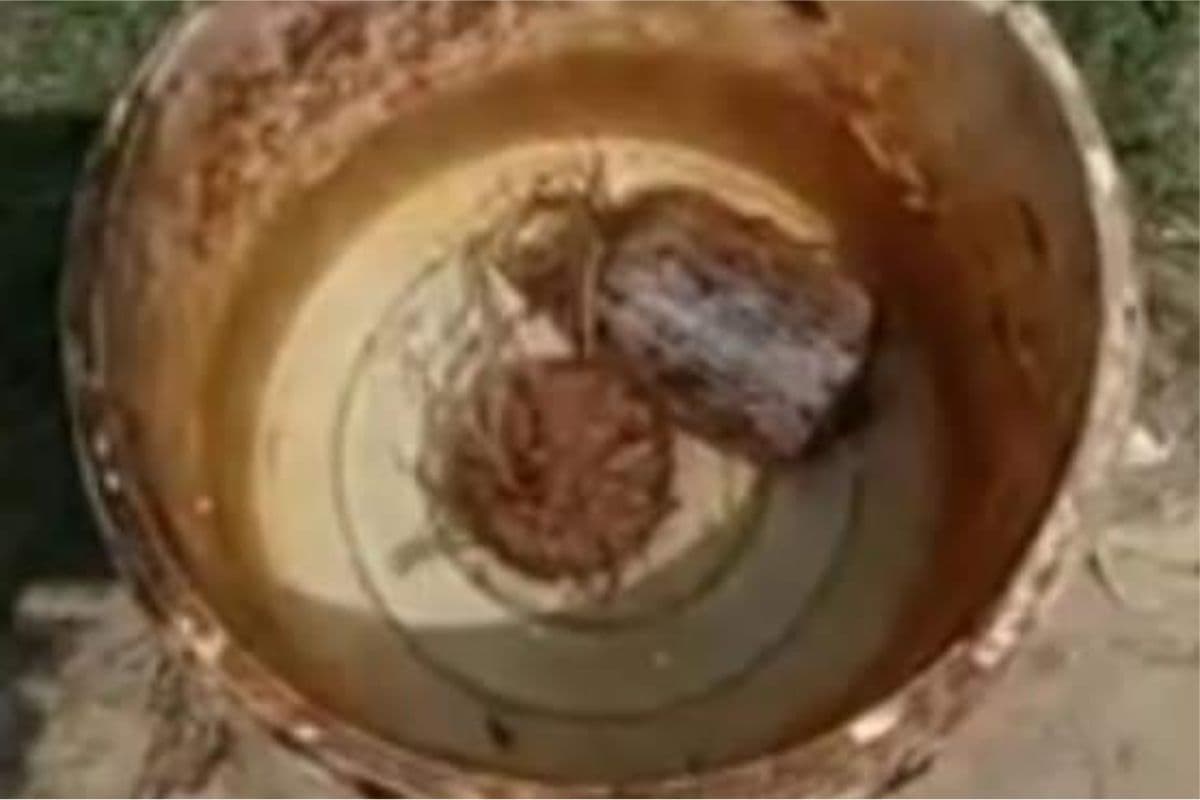 बर्दवान म्यूजिक कॉलेज के पास तीन बम मिलने से मचा दहशत, पुलिस जुटी जांच में