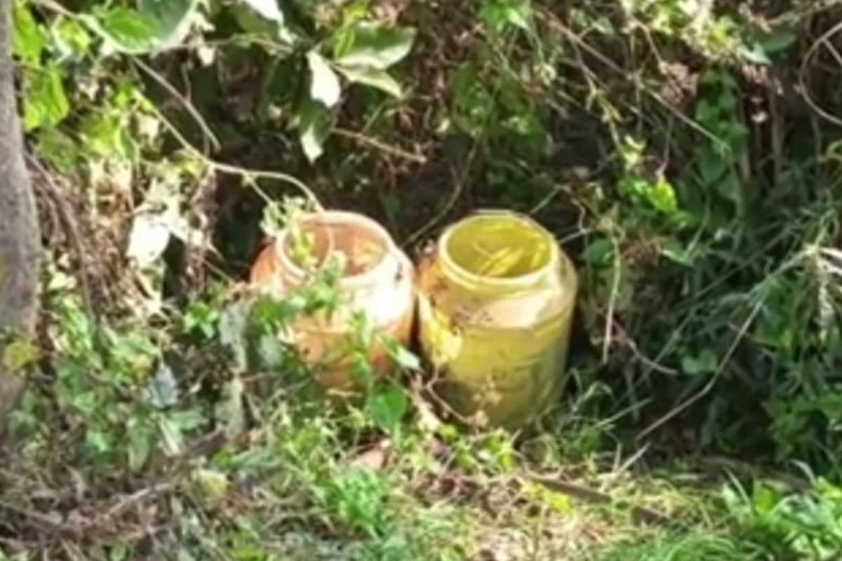 Bomb In West Bengal: लोकसभा चुनाव से पहले बीरभूम में झाड़ियों से बमों का जखीरा बरामद, लगातार बम मिलने से दहशत