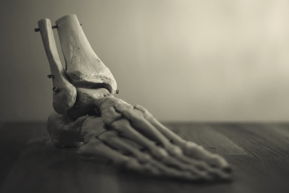 Bone Health : समय के साथ दिनचर्या और लाइफस्टाइल में बदलाव, खानपान में लापरवाही, और बढ़ती उम्र के कारण बोन डेंसिटी कम होने लगती है.