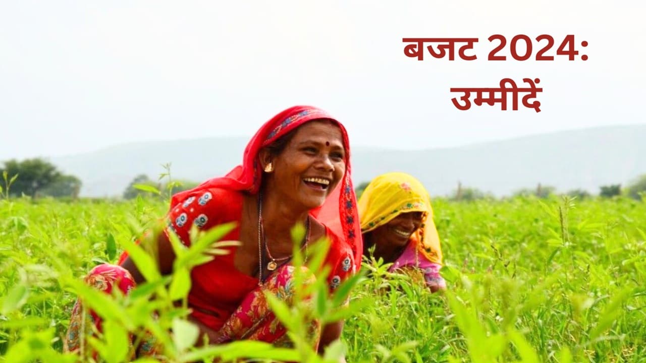 Budget 2024: चुनावी साल में युवाओं, महिला, किसान और गरीबों पर होगा फोकस,एक्सपर्ट से जानें कैसा होगा अंतरिम बजट