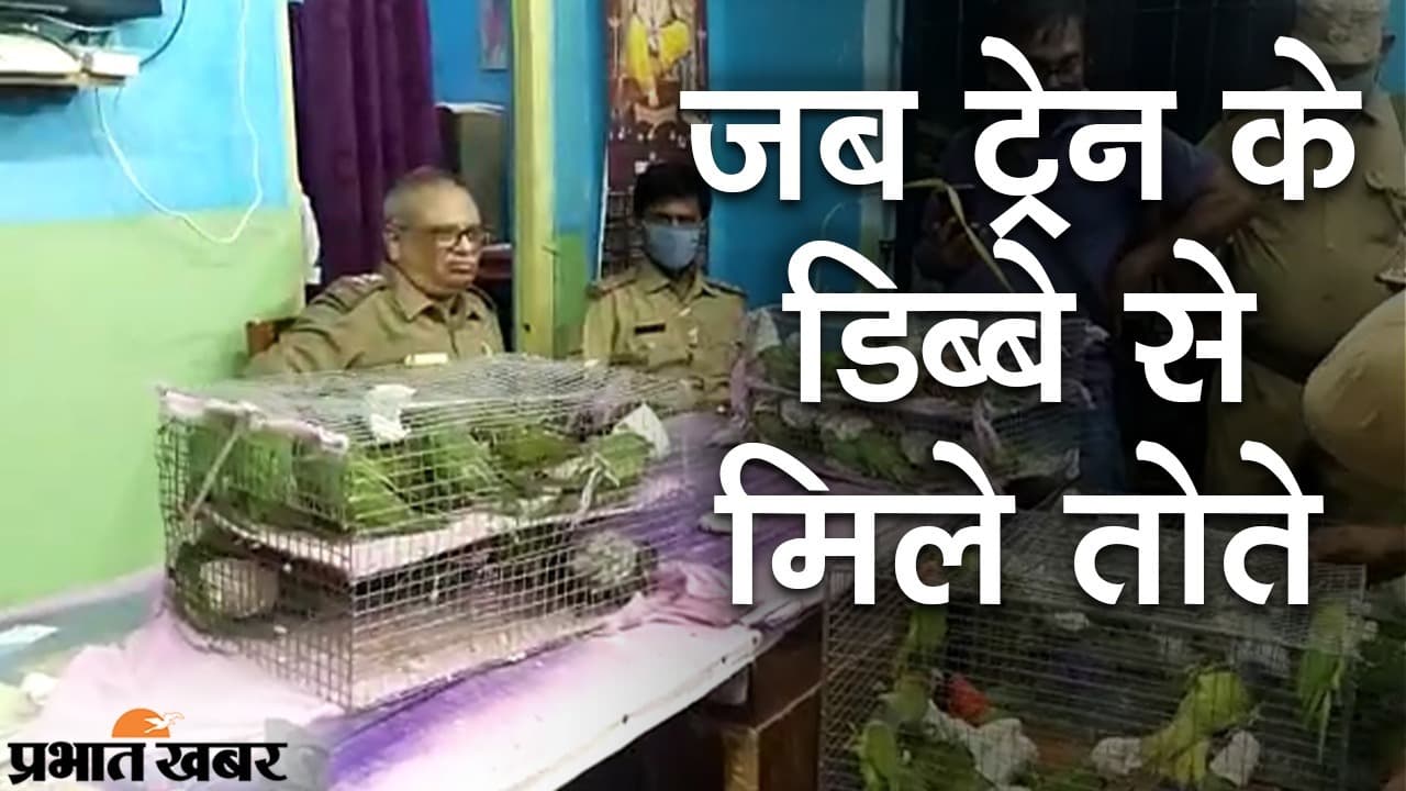 जब ट्रेन के डिब्बे से मिले पक्षी, बंगाल के मालदा में जोगबनी एक्सप्रेस से पिंजरे में कैद कई तोते जब्त