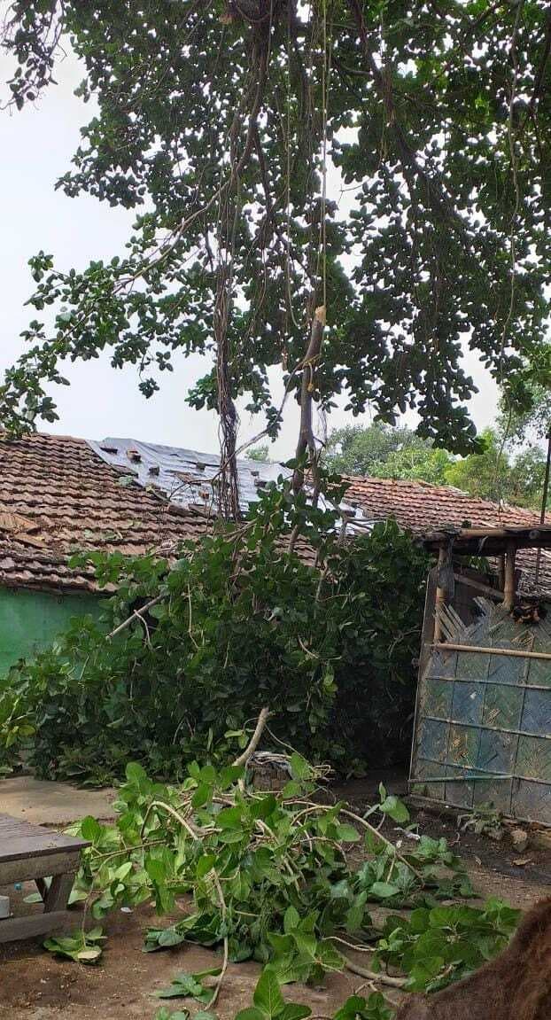 Cyclone Yaas: क्या राजस्थान पर पड़ेगा यास तूफान का असर, जानिए मौसम विभाग ने क्या कहा…