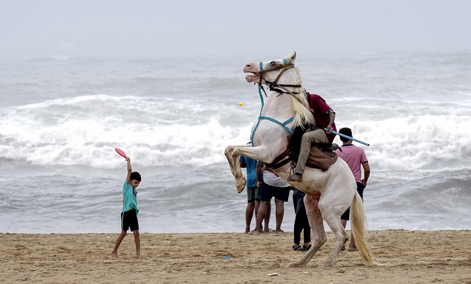पर्यटकों का पसंदीदा गंतव्य बने भारत