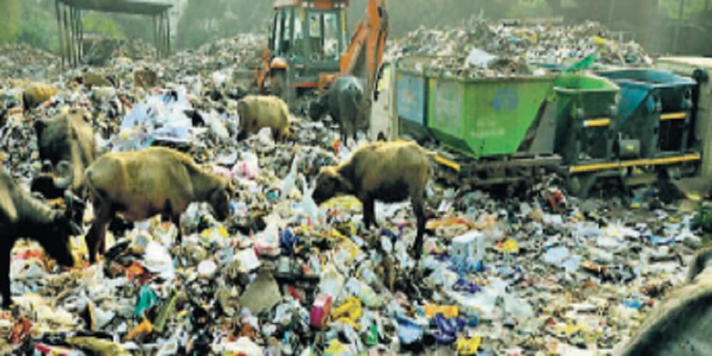 देवघर : सरकारी बस डिपो स्थित कचरा ट्रांसफर स्टेशन बना मुसीबतों का जंजाल