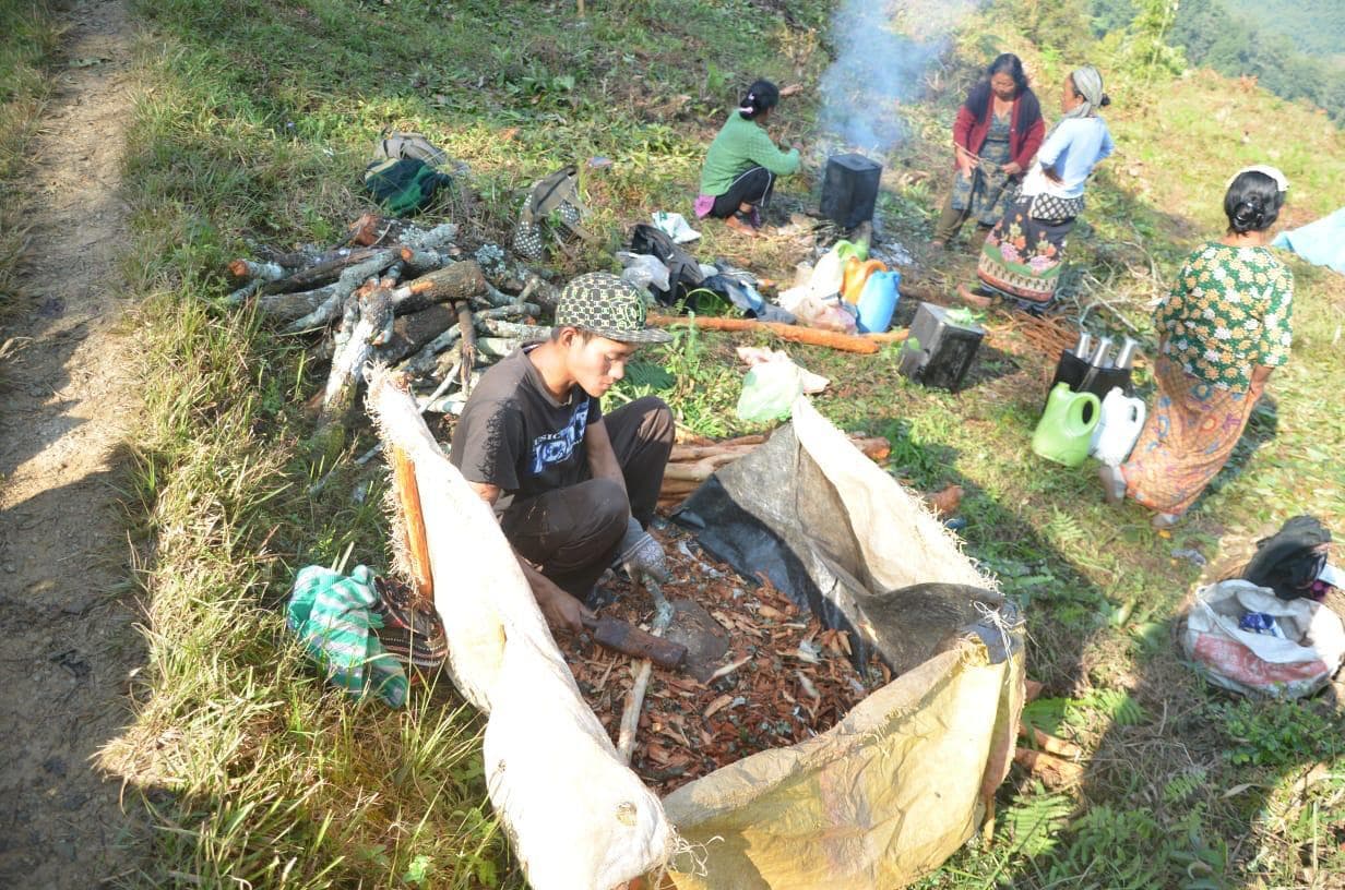 विश्व भर में हाइड्रॉक्सीक्लोरोक्वीन की मांग बढ़ने से सिन्कोना बागानवासियों में जगी उम्मीद की किरण
