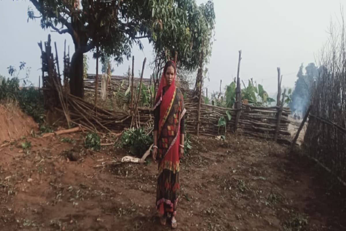 बोकारो में जंगली हाथियों के झुंड ने मचाया उत्पात, किसी का घर तोड़ा तो किसी के फसलों को बनाया निवाला