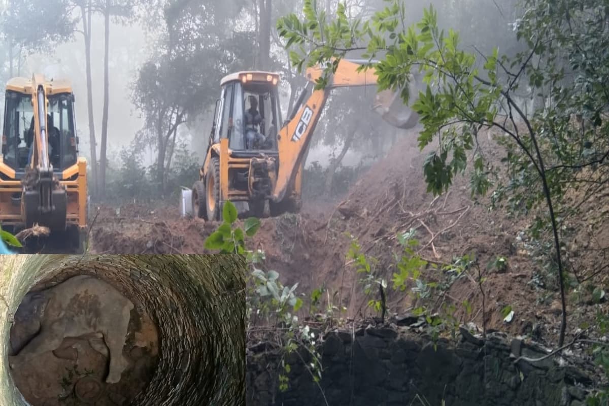 झारखंड: कुएं में गिरा हाथी, रेस्क्यू में जुटी वन विभाग की टीम, आठ घंटे बाद भी नहीं मिली सफलता