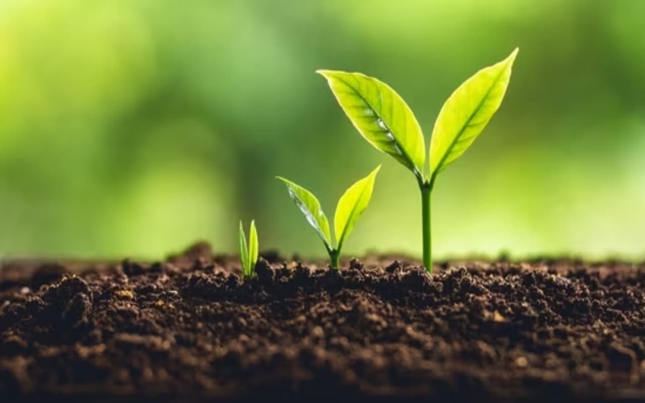 World Soil Day 2024 : सॉइल साइंस में संवारें कल
