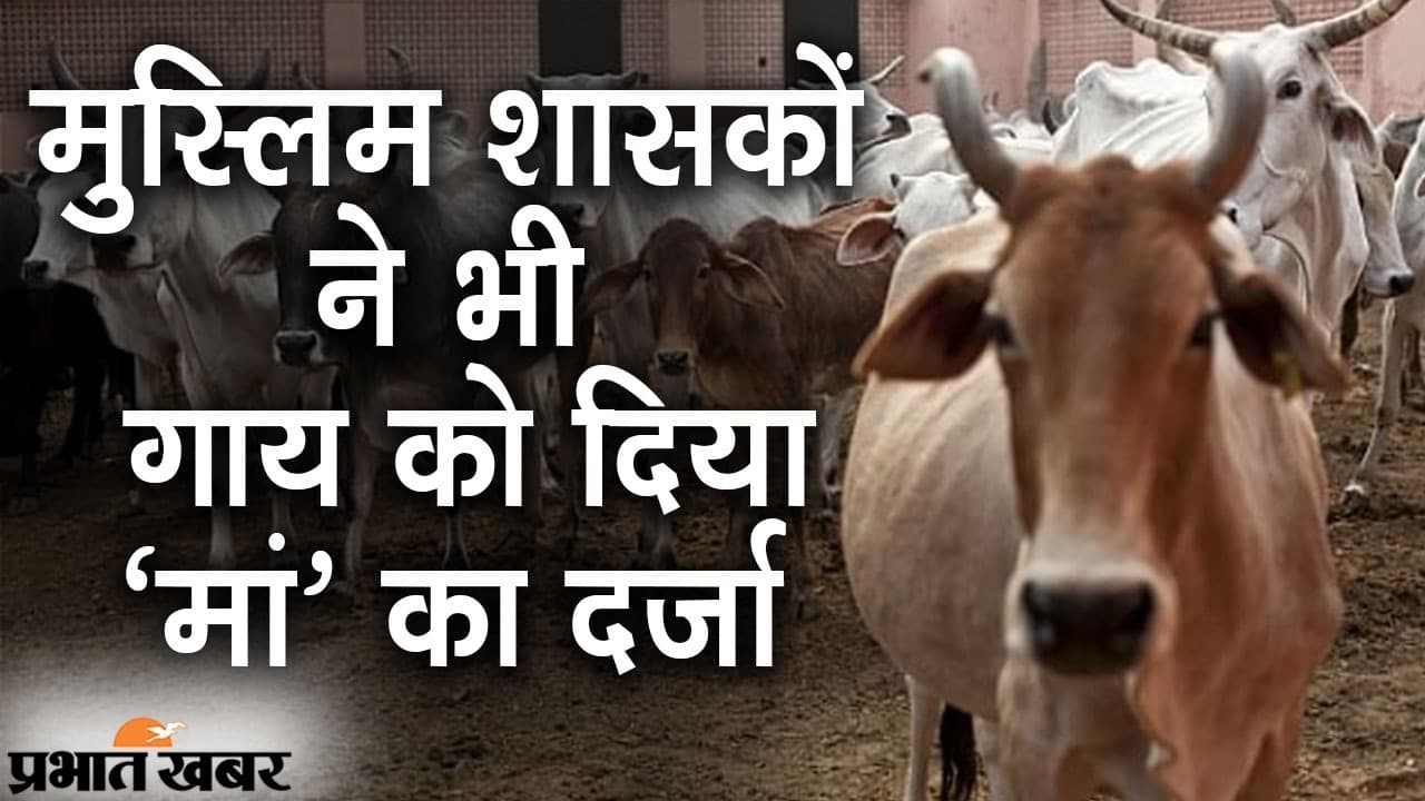 इन मुस्लिम शासकों ने भी गाय को माना था मां, गोकशी पर रोक के लिए बनाए थे कड़े कानून