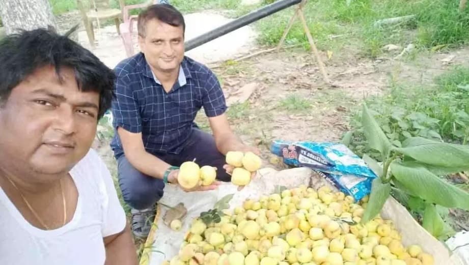 बिहार में बदली हुई खेती देखनी हो तो गेड़ाबाड़ी आइये, कंप्यूटर इंजीनियर की नौकरी छोड़ प्रशांत ने लिखी नई इबारत