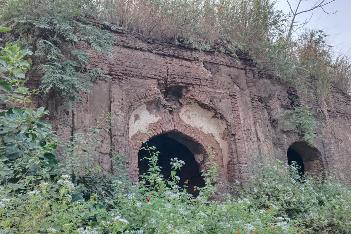 साहिबगंज : अस्तित्व खोता जा रहा ऐतिहासिक तेलियागढ़ी किला