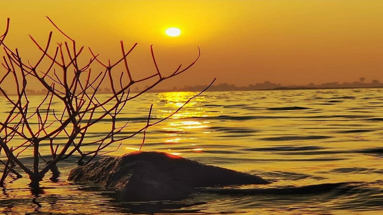 PHOTOS: जमुई में 5 सनसेट प्वाइंट पर मनाएं New Year का जश्न, देखिए सूर्यास्त की मनमोहक तस्वीरें