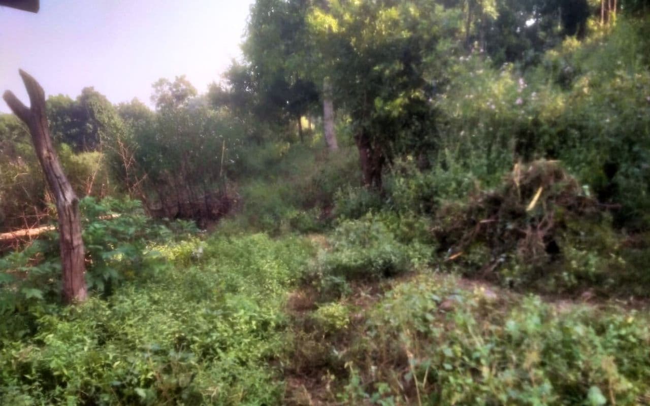 गढ़वा : आदिम जनजाति टोले में नहीं है सड़क, साल में तीन महीने स्कूल नहीं जाते बच्चे