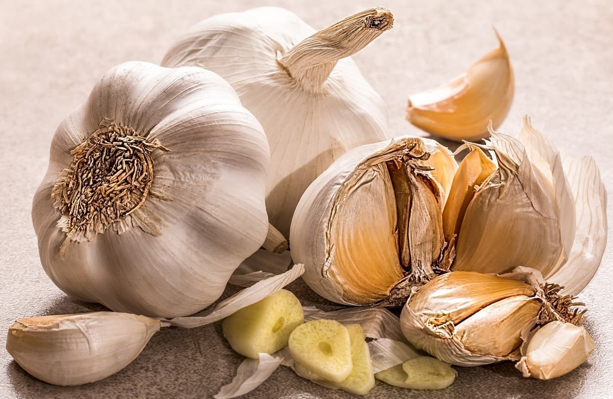 Madhya Pradesh News: लहसुन की रखवाली के लिए किसानों ने रखे गार्ड, तीसरी नजर से भी हो रही निगाहबानी