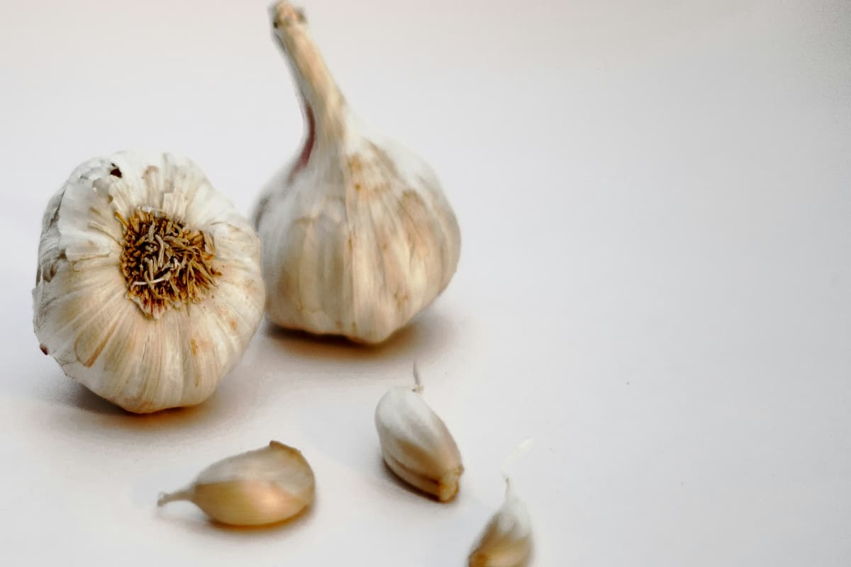 Garlic for Weight Loss: अपनी डायट में करें लहसुन का इस्तेमाल, इस तरह वजन घटाने में करेगा मदद