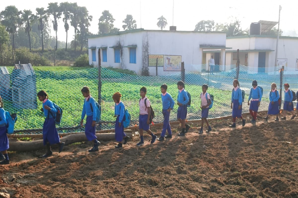 हजारीबाग : ग्रामीणों ने स्कूल आने जाने वाले रास्ते को घेरकर लगा दी फसल, 20 दिनों से बच्चों की पढ़ाई बाधित