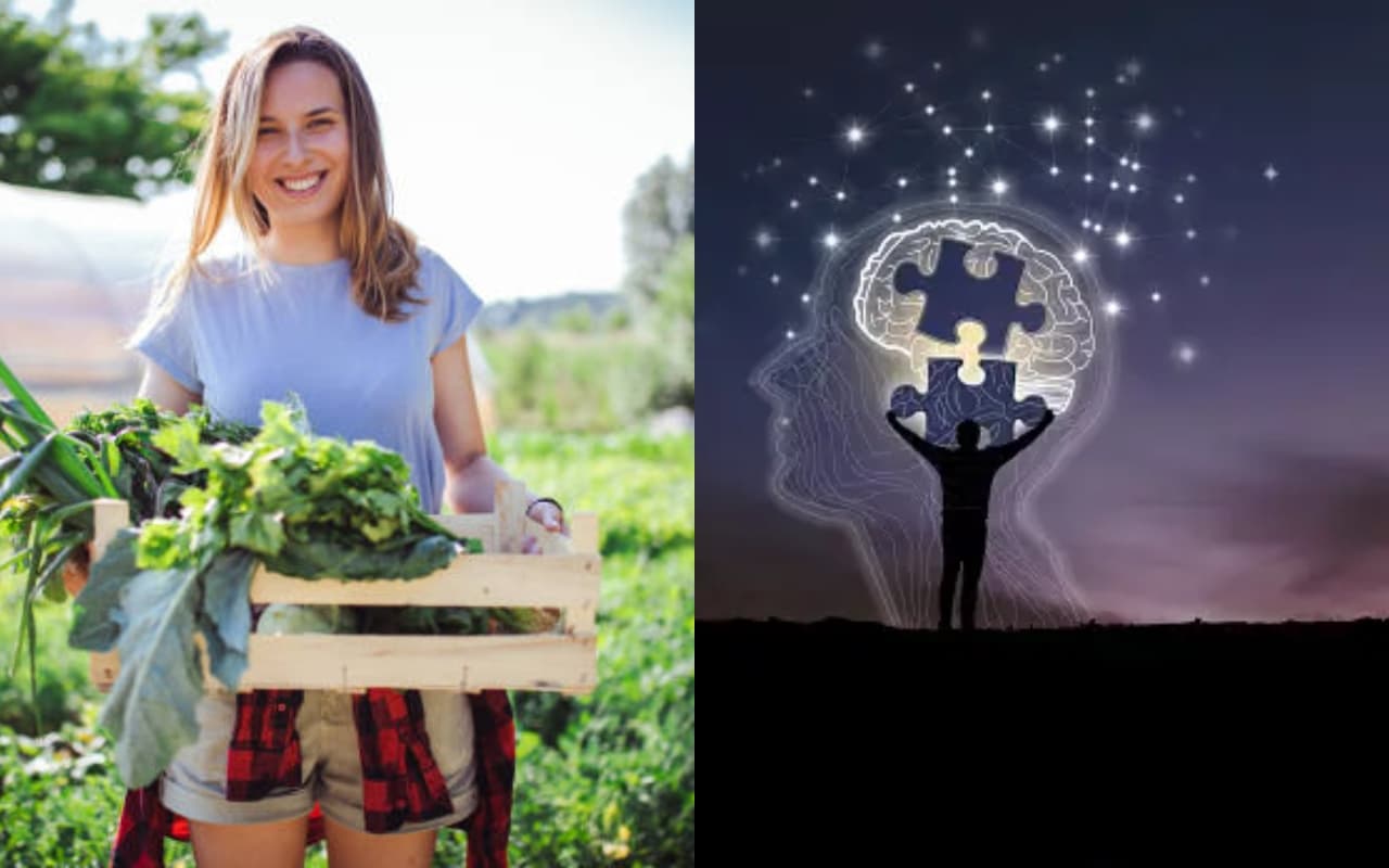 अल्जाइमर रोग के खतरे को कम कर सकता है शाकाहारी भोजन :Research