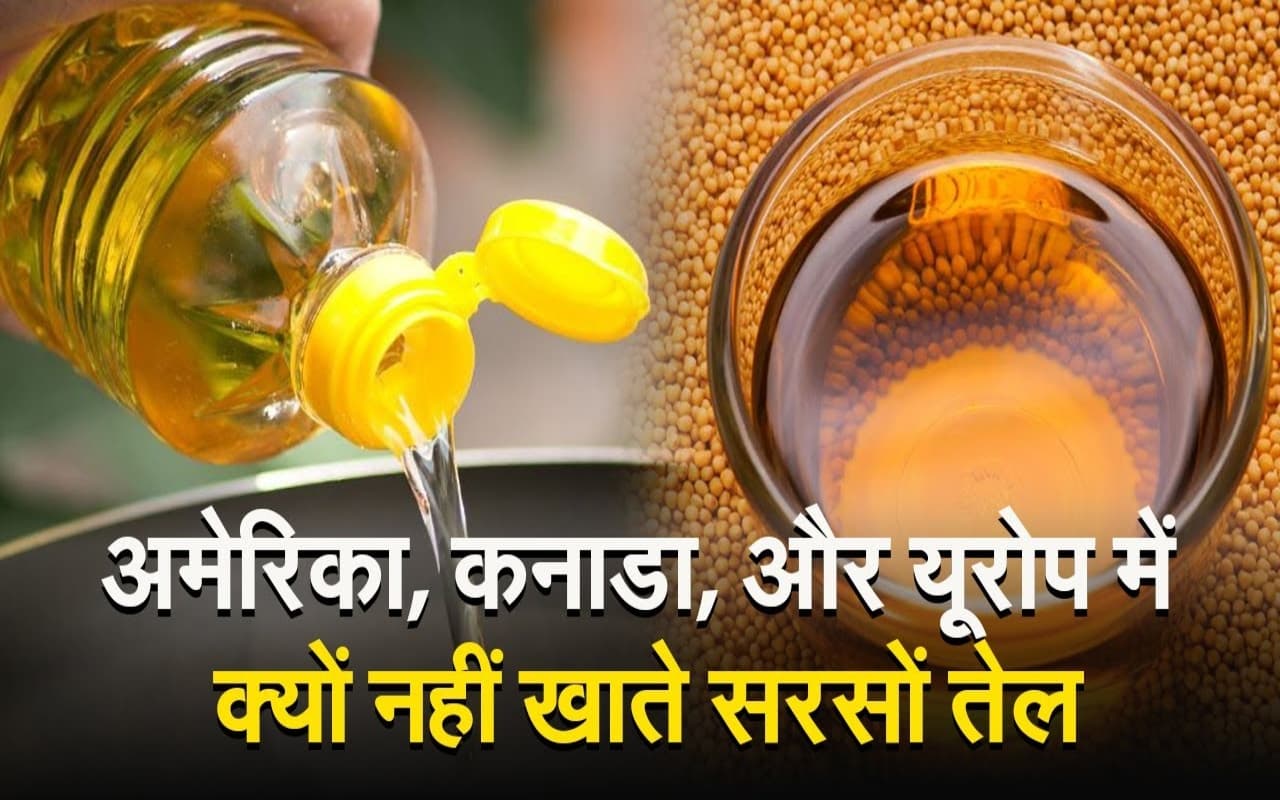 VIDEO: अमेरिका, कनाडा, और यूरोप में सरसों तेल के इस्तेमाल पर है प्रतिबंध, जानिए वजह