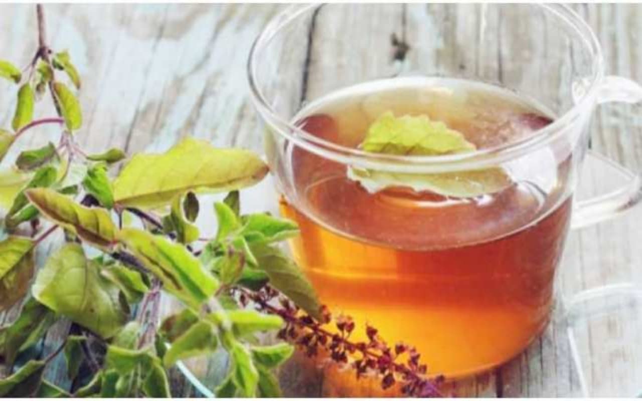 Health Tips: कई बीमारियों को जड़ से खत्म करता है तुलसी का काढ़ा, जानें इससे होने वाले 6 फायदों के बारे में