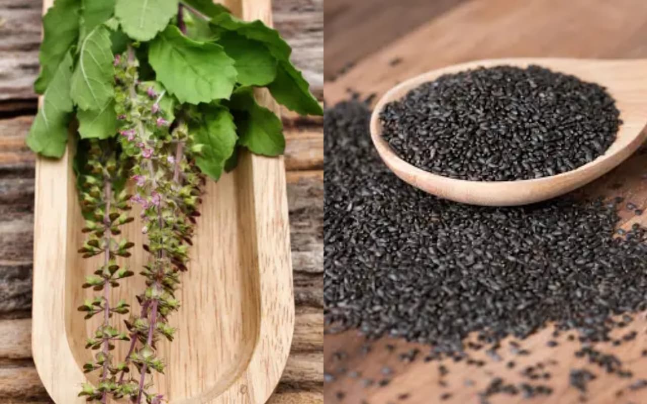 Health Care : मोटापा घटाने के साथ दूर भागेंगी पेट की बीमारियां, अमृत समान है खाली पेट इस बीज का पानी