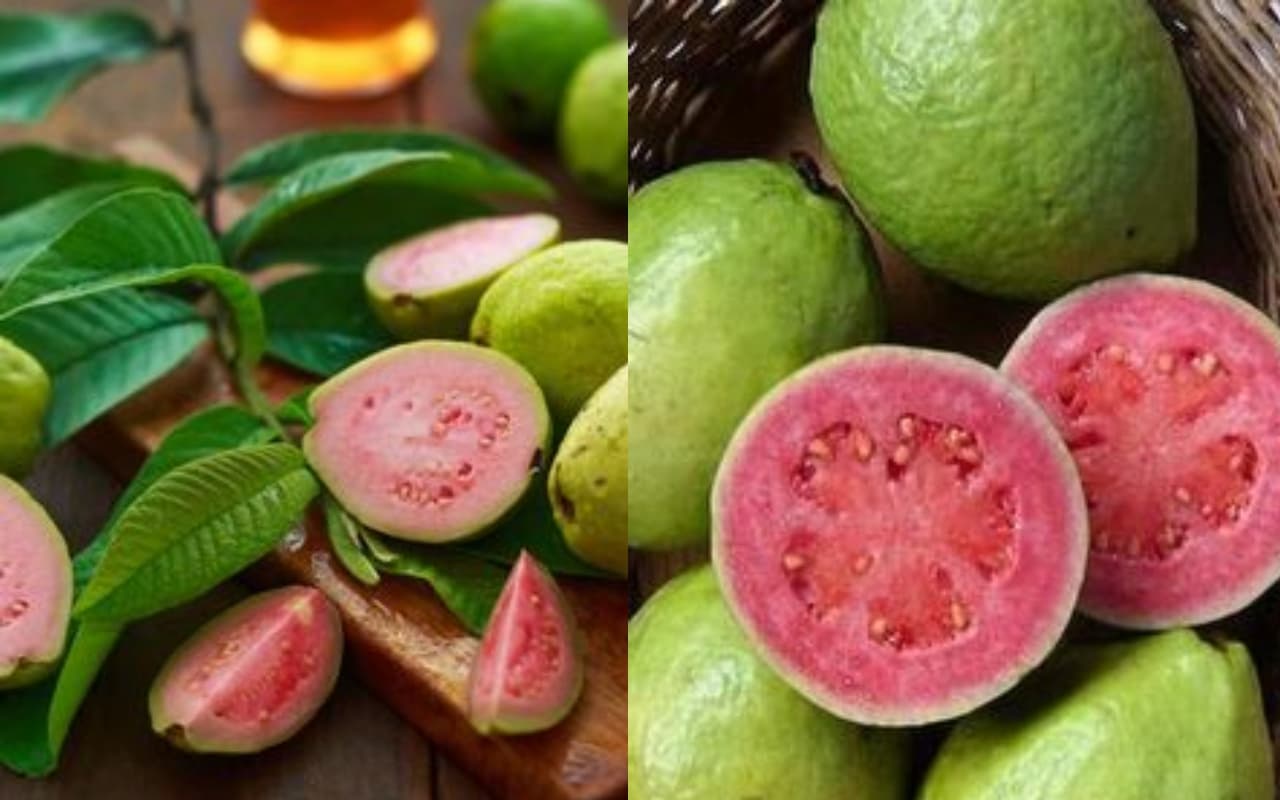 वजन घटाने से लेकर डायबिटीज कंट्रोल, गुलाबी अमरूद खाने से मिलेंगे गजब के फायदे