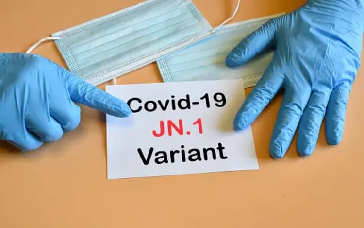 नए साल पर बाहर घूमने जाने का है प्लान ?जेएन-1 वैरिएंट से रहें सावधान