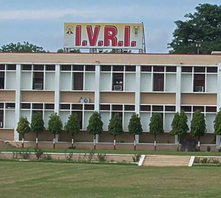 Republic Day Special: आजादी के पहले बना बरेली कॉलेज और आईवीआरआई लेकिन इसके बाद शहर का हुआ विकास