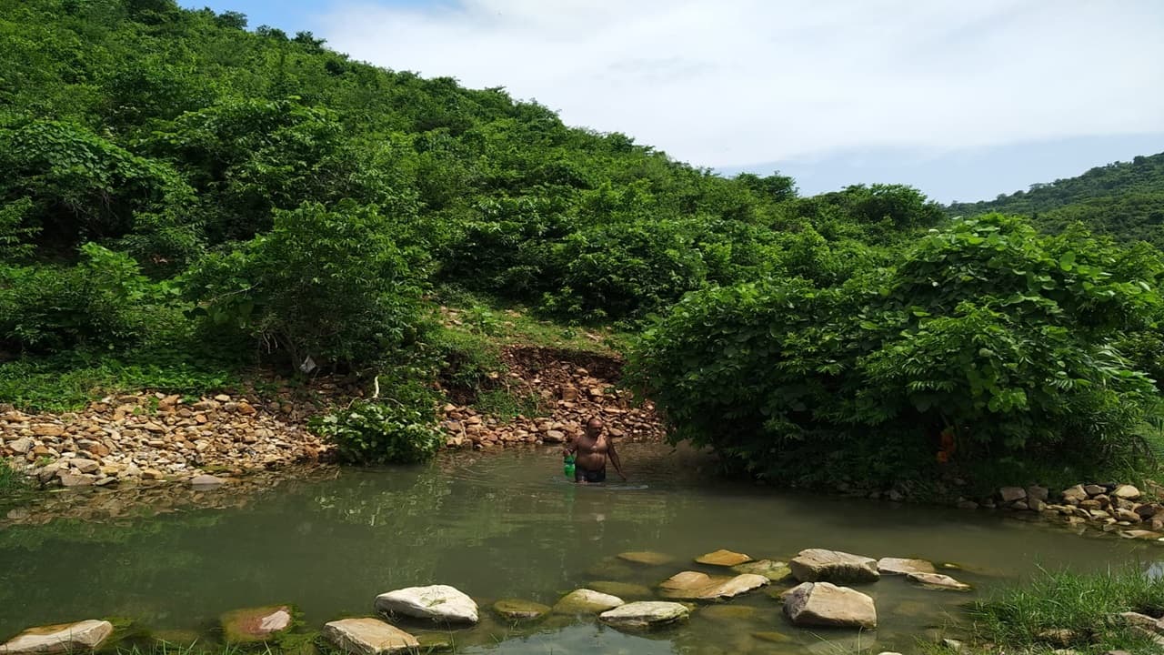 नया साल 2024: लखीसराय का बरियारपुर टाली झरना पिकनिक स्पॉट के रूप में प्रसिद्ध, जानिए इस जगह की खासियत