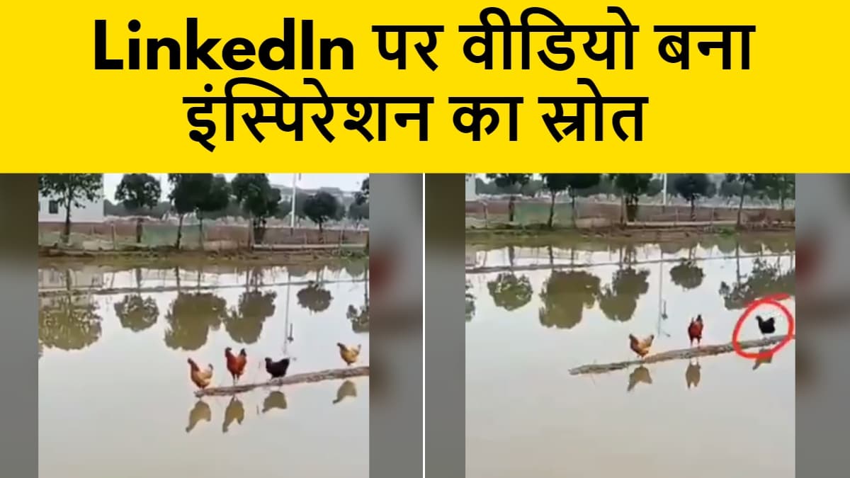 LinkedIn पर वीडियो बना इंस्पिरेशन का स्रोत, यूजर्स जमकर कर रहे इसे शेयर