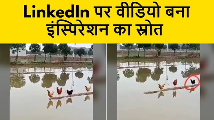 LinkedIn पर वीडियो बना इंस्पिरेशन का स्रोत, यूजर्स जमकर कर रहे इसे शेयर