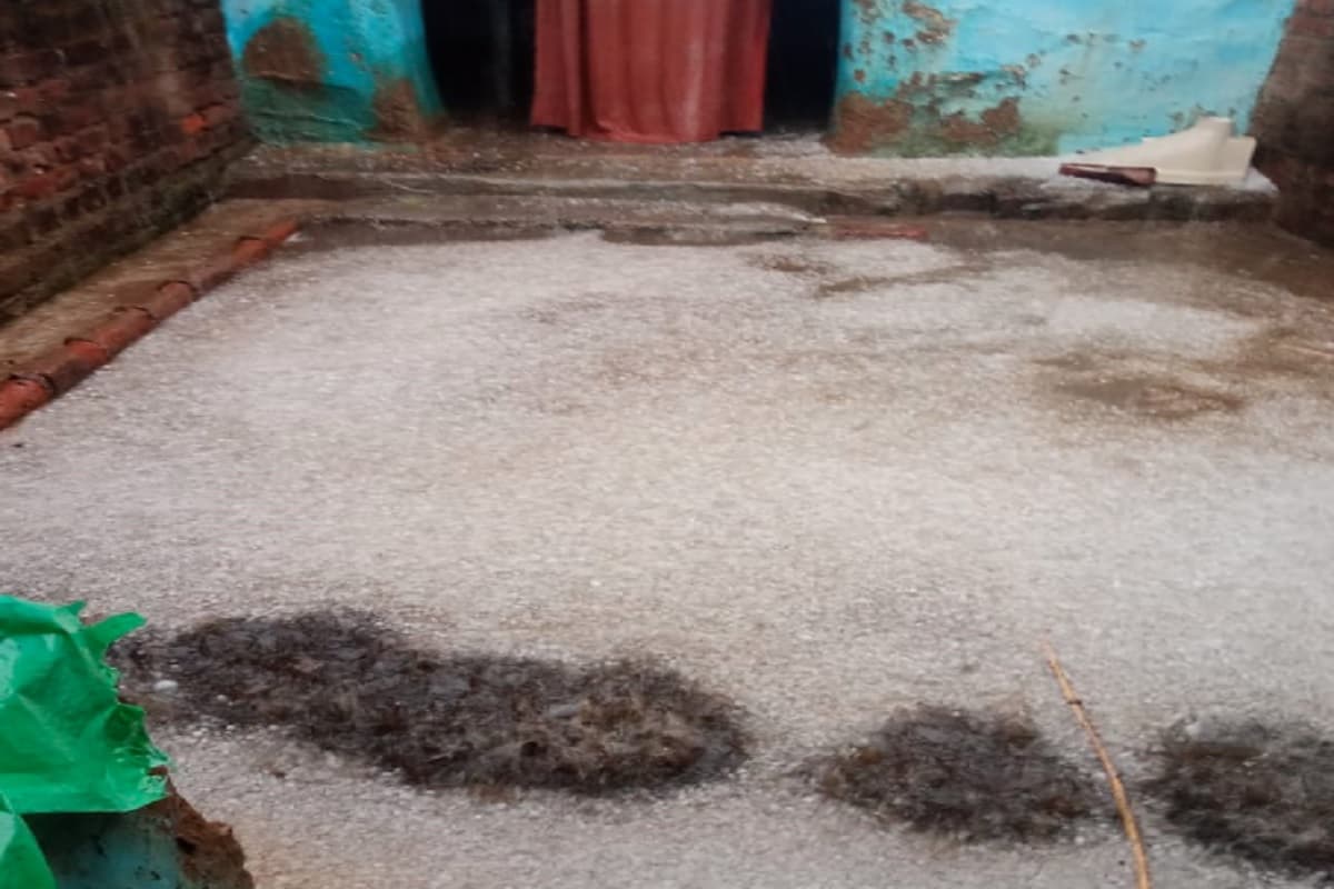 लोहरदगा: बारिश व ओलावृष्टि ने खेतों में लगी फसल को किया बर्बाद