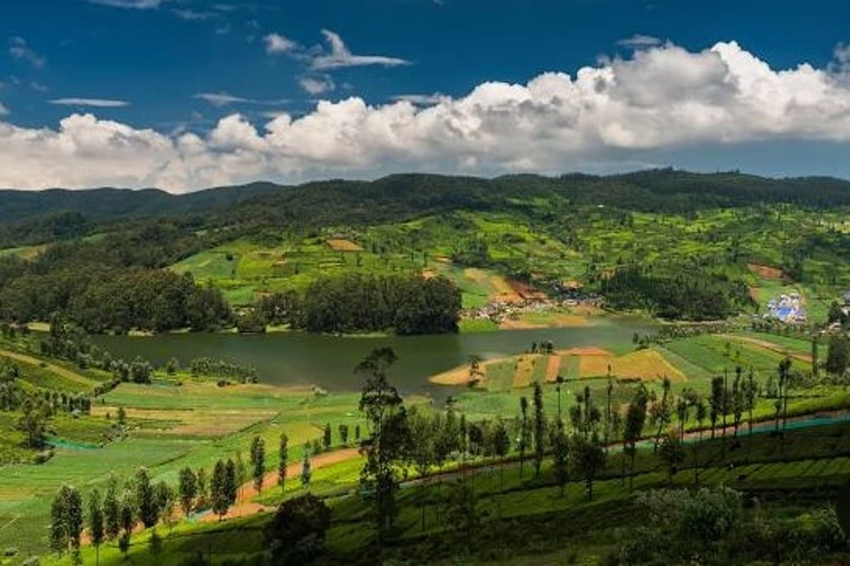 Tourist Places Of Ooty: ऊटी में घूमने के लिए ये हैं टॉप 5 पर्यटन स्थल, जल्द बना लें प्लान