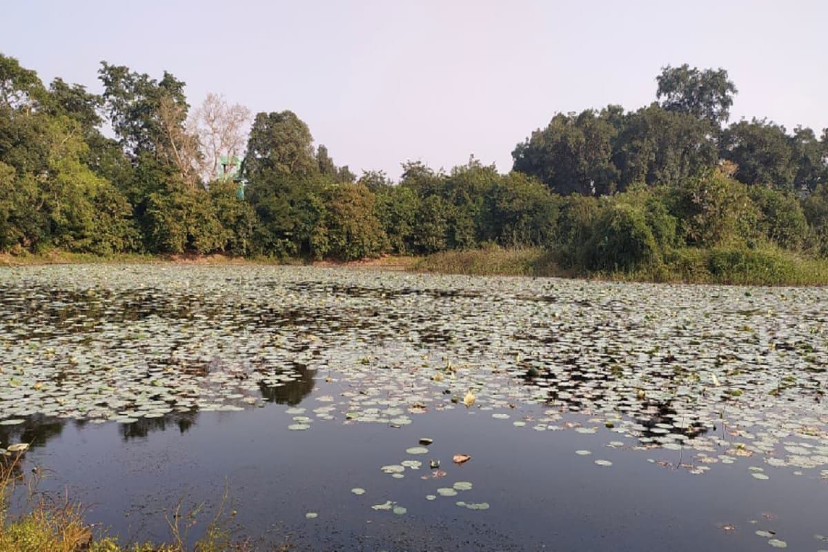 लोगों का मन मोहता लेता है कमलदह झील का सौंदर्य, राजा मेदिनीराय को था इससे बेहद लगाव