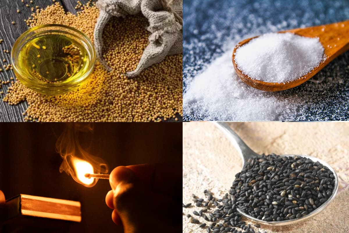 Vastu Tips: इन चीजों को मुफ्त में लेना पड़ सकता है भारी, लग सकता है वास्तु दोष और हो सकती है धन की कमी