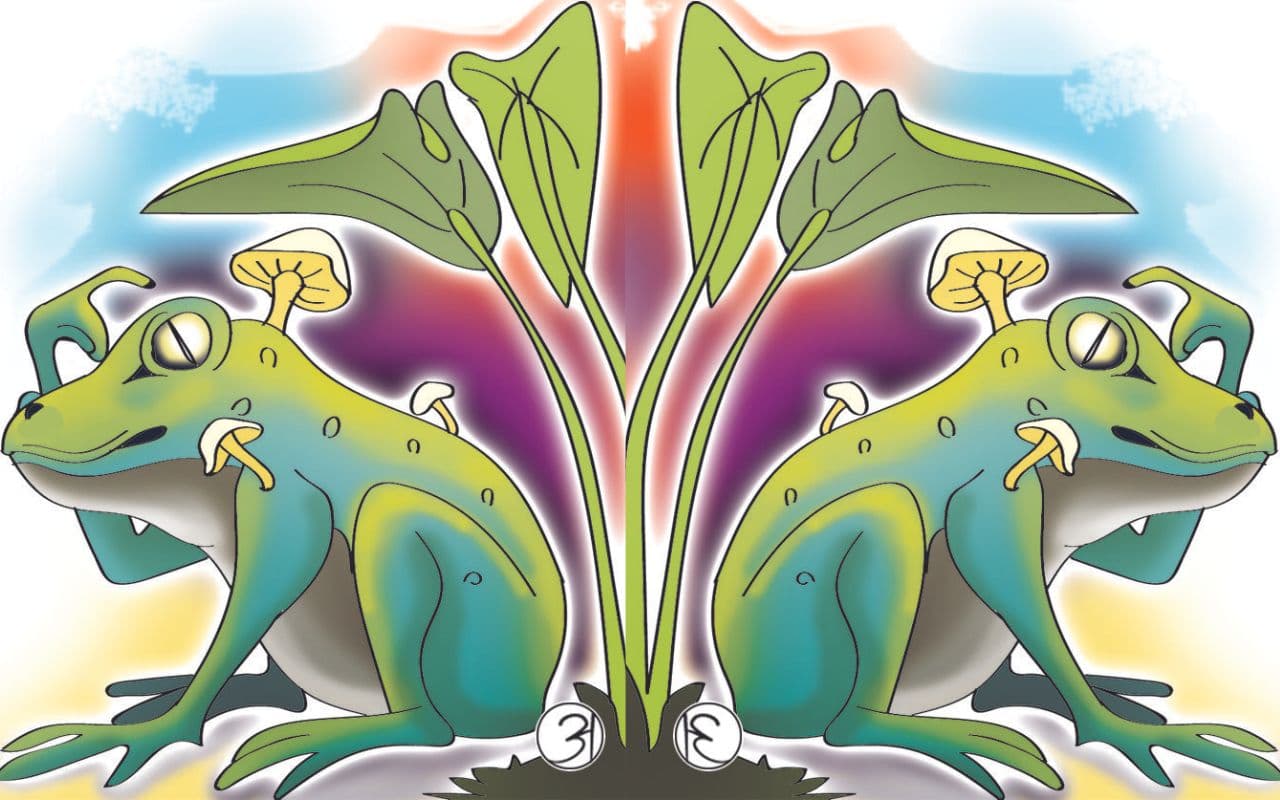 कर्नाटक और केरल में मेढक के शरीर पर पनप रहा मशरूम, सकते में वैज्ञानिक