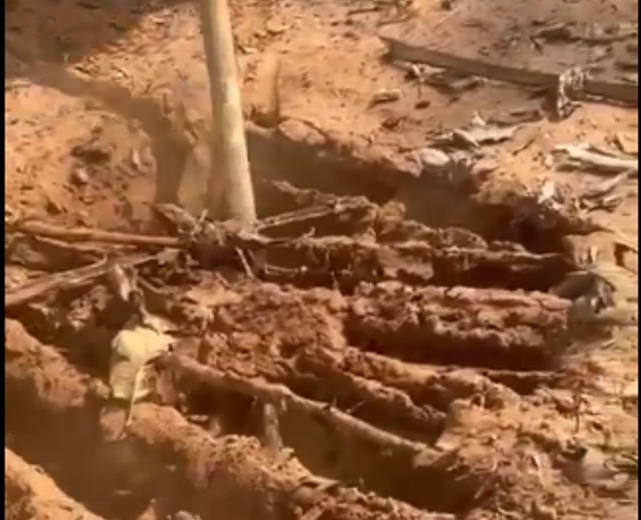 छत्तीसगढ़ के दंतेवाड़ा में पहली बार नक्सलियों ने  बनाई ऐसी सुरंग, सब हो गये दंग, वीडियो आया सामने