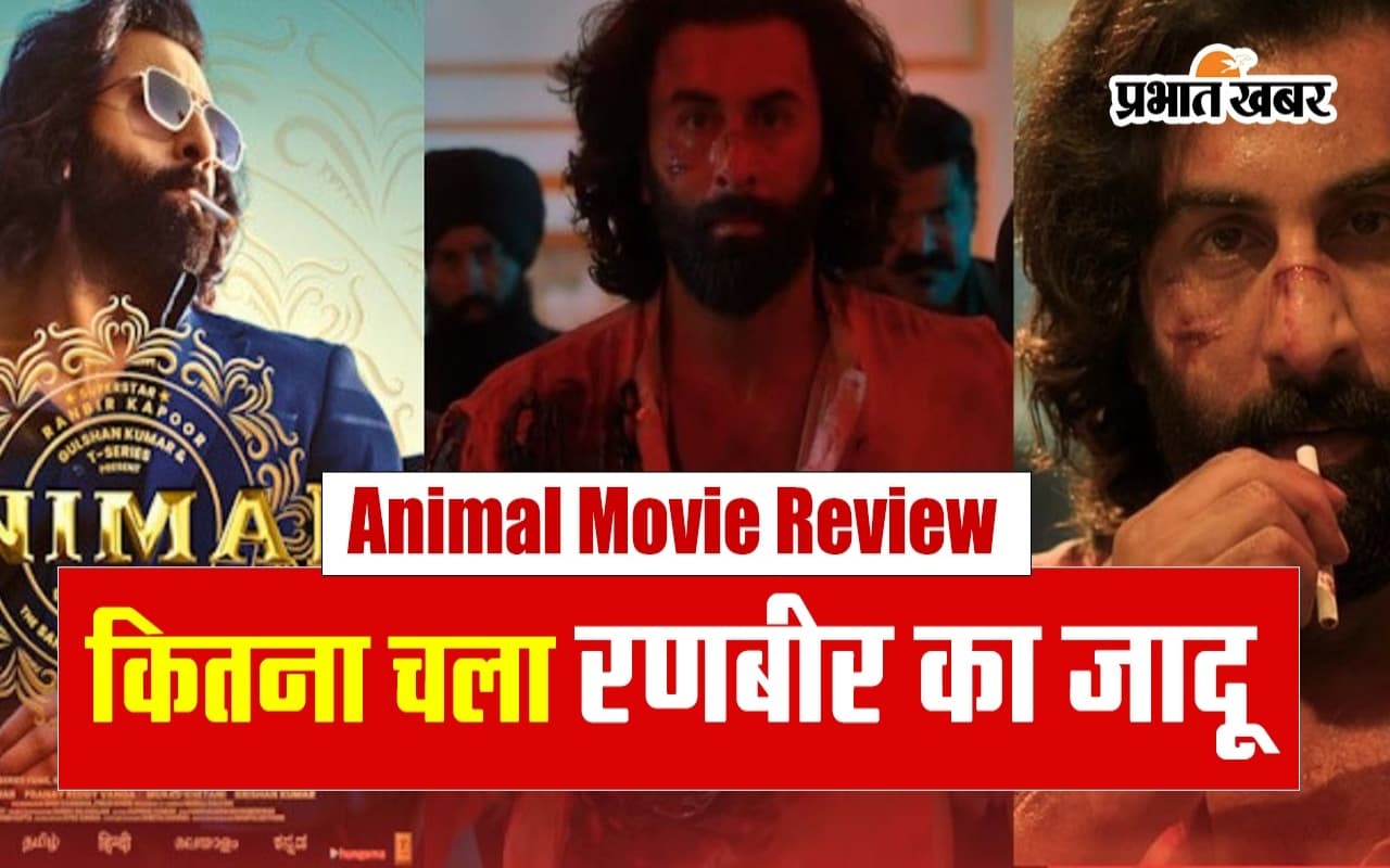Animal Movie Review: थियेटरों में गदर मचा रही है रणबीर कपूर की फिल्म, यहां जानें एनिमल का पूरा रिव्यू