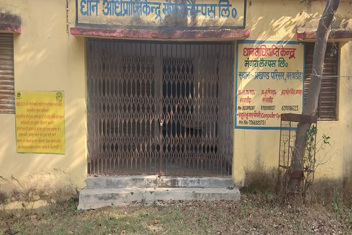 लातेहार में धान की खरीदारी शुरू नहीं होने से किसान चिंतित, अधिकारी दे रहे हैं ये दलील